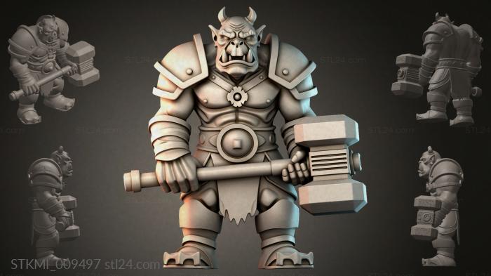 STKMI_009497
