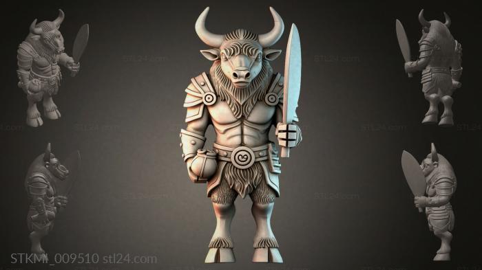 STKMI_009510