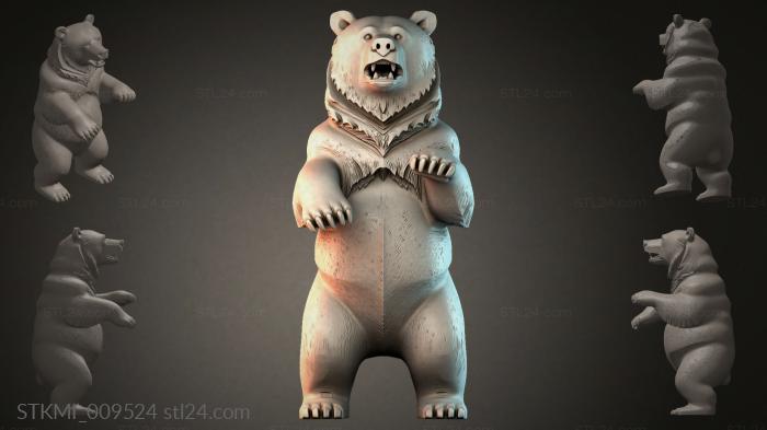 STKMI_009524