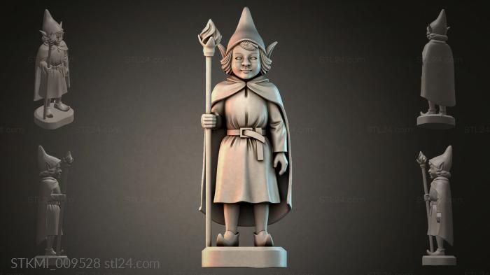 STKMI_009528