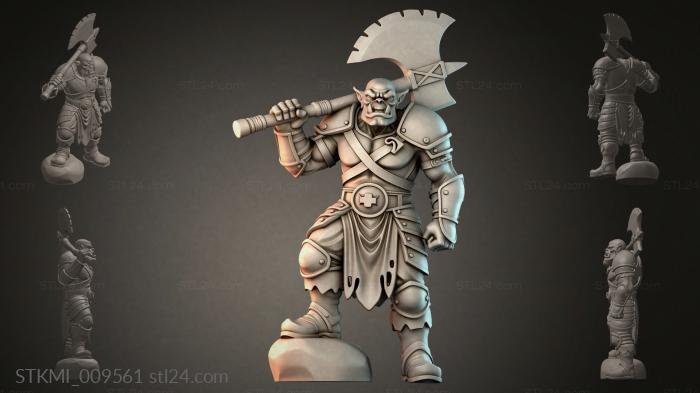 STKMI_009561