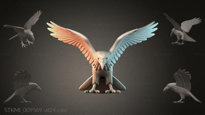 STKMI_009569