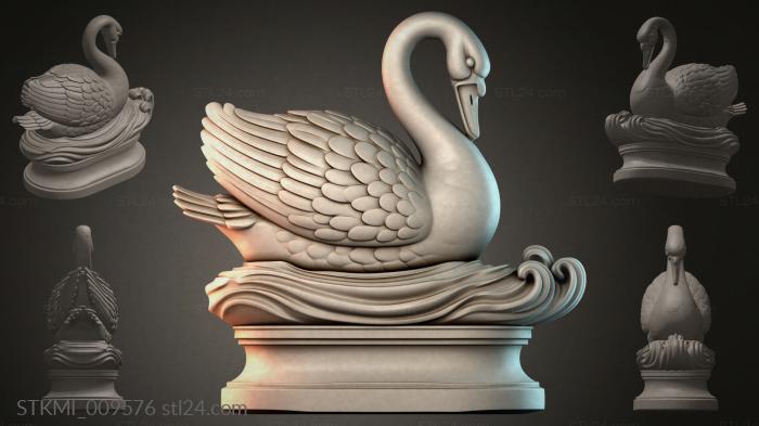 STKMI_009576