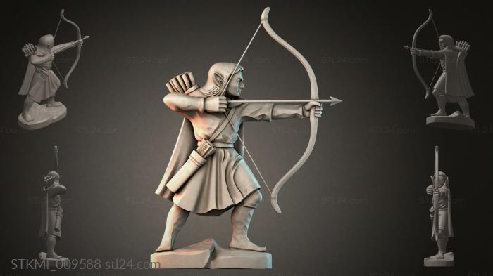STKMI_009588