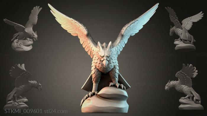 STKMI_009601