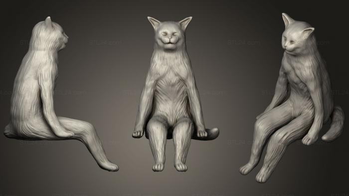 Figurines simple (The meme cat 3D printable, STKPR_1287) 3D models for cnc