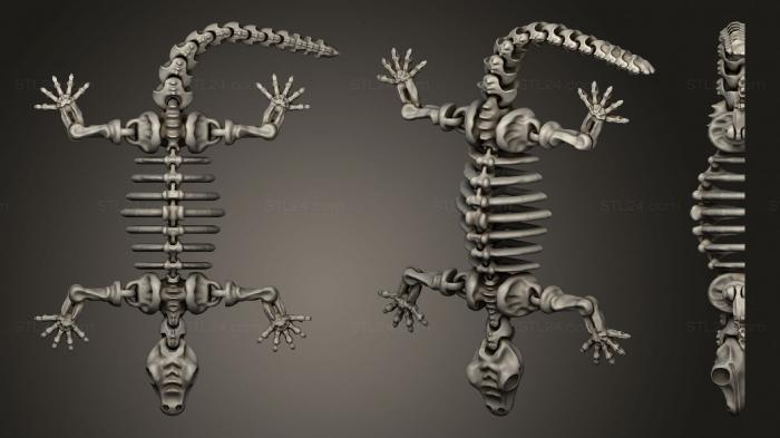 Статуэтки упрощенные (Скелет Геккона Mag Flexi, STKPR_1932) 3D модель для ЧПУ станка