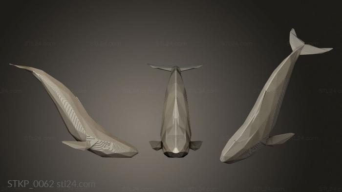 Parametric Bluewhale