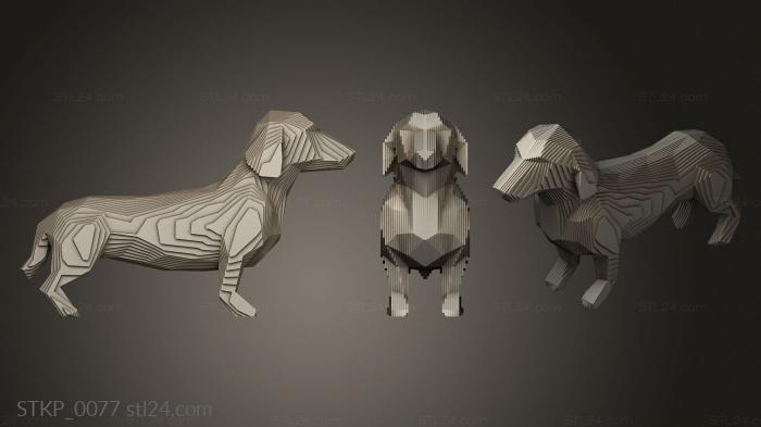 Parametric Dachshund dog