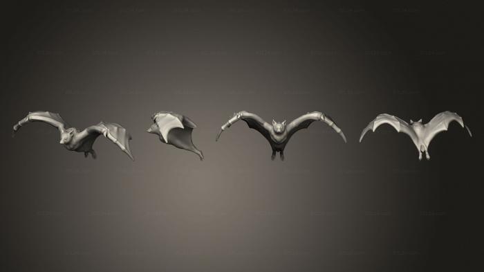 Bat 1 002