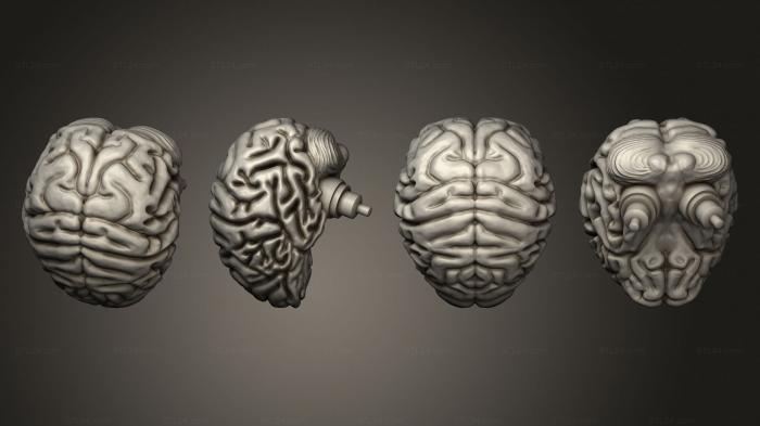 Статуэтки упрощенные (Технический мозг киберпанковского торгового автомата для замены органов, STKPR_2603) 3D модель для ЧПУ станка