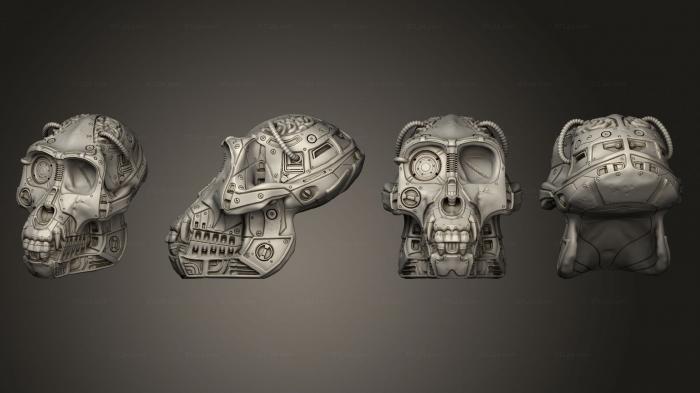 Figurines simple (Duncans Monkey Skull, STKPR_2701) 3D models for cnc