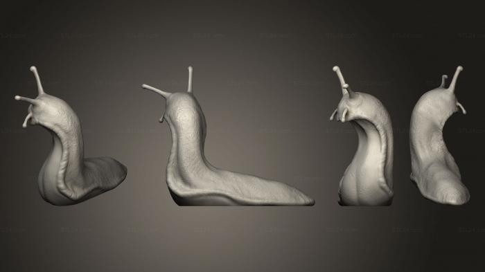 Figurines simple (Skull Snail body 002, STKPR_2982) 3D models for cnc