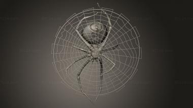 Figurines simple (Detailed Spider Web, STKPR_4017) 3D models for cnc