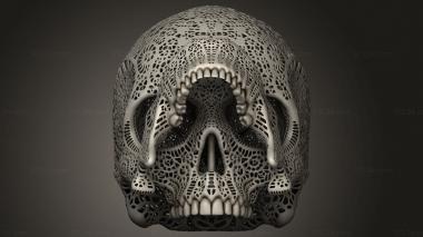 Figurines simple (Filigree Anatomical Skull, STKPR_4370) 3D models for cnc