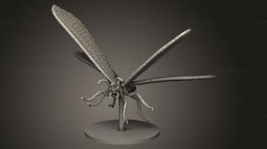 Figurines simple (Giant Adult Antlion, STKPR_4537) 3D models for cnc