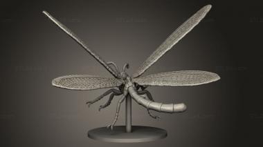 Figurines simple (Giant Adult Antlion, STKPR_4537) 3D models for cnc