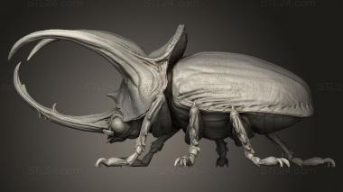 Figurines simple (Infestation Giant Beetle, STKPR_4813) 3D models for cnc