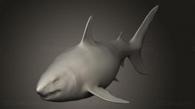 Figurines simple (Megalodon, STKPR_5355) 3D models for cnc