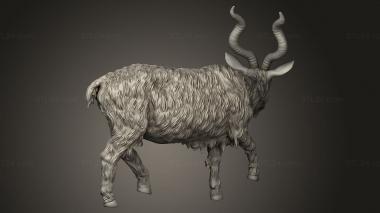 Figurines simple (Qinwari the Wild Kanwar goat, STKPR_5597) 3D models for cnc