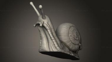 Figurines simple (Skull Snail, STKPR_5858) 3D models for cnc