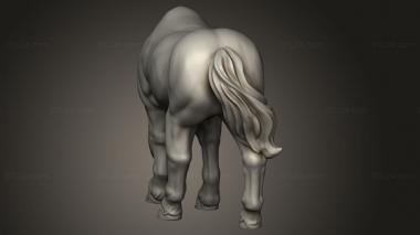 Figurines simple (STARTER HORSE VVM, STKPR_5957) 3D models for cnc