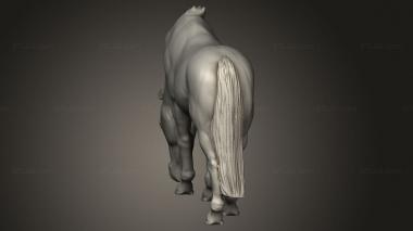 Figurines simple (Horse, STKPR_5978) 3D models for cnc