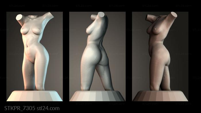 Abstract Female Form