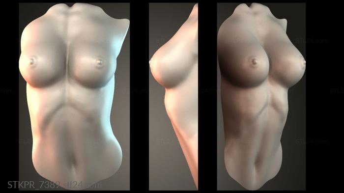 Artistic Torso Sculpture
