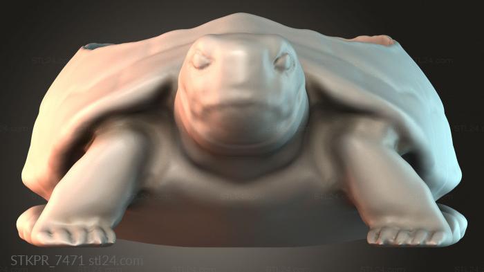 Sculpted Turtle Figure