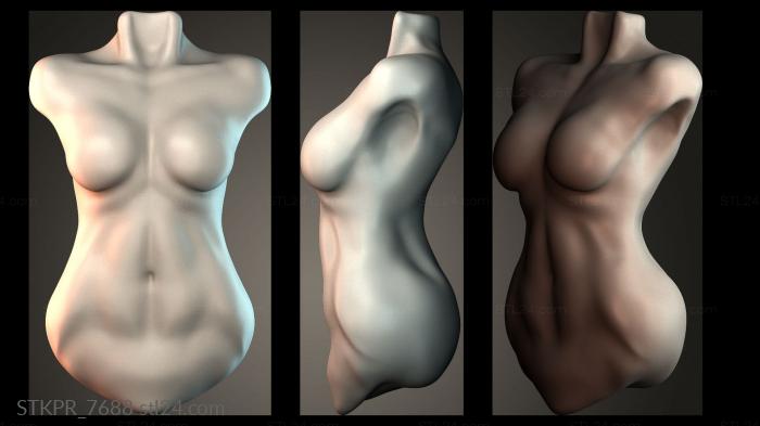 Abstract Torso Sculpture