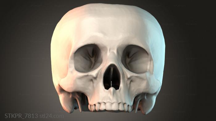 Figurines simple (Human Skull Model, STKPR_7813) 3D models for cnc