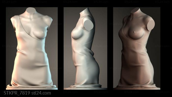 Fashion Design Mannequin