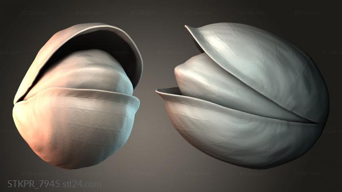 Figurines simple (Abstract Clam Shell, STKPR_7945) 3D models for cnc