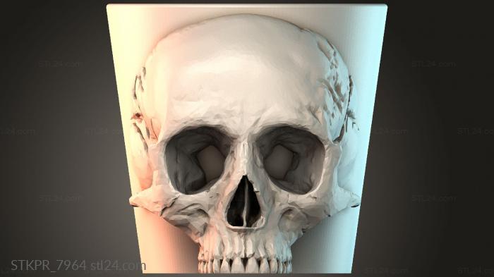 Geometric Skull Design