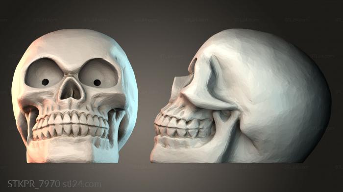 Human Skull Illustration