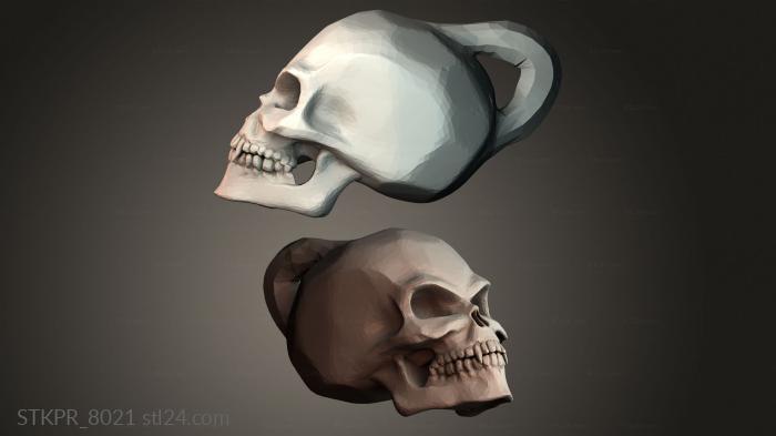 Stylized Human Skull