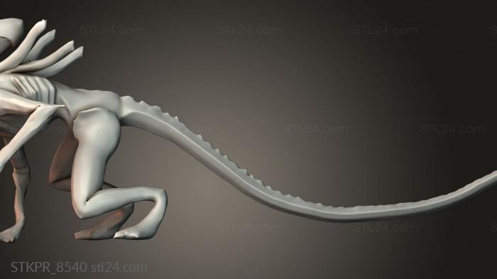 Attacking xenomorph - alien