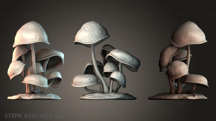 Mushrooms