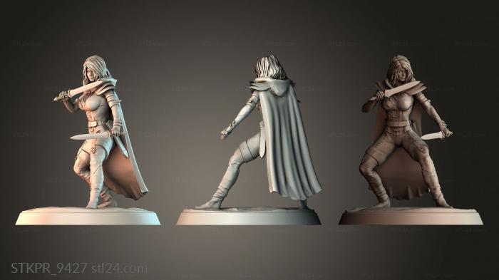 Убийца с двумя мечами