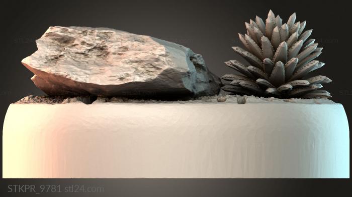 Natural Elements Display