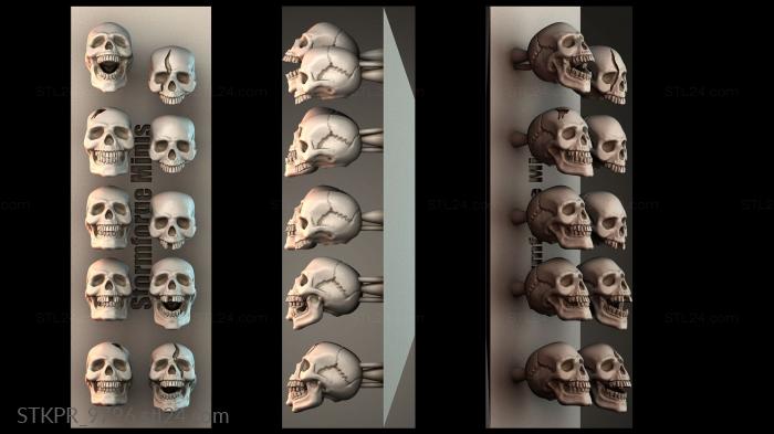 Decorative Skull Collection