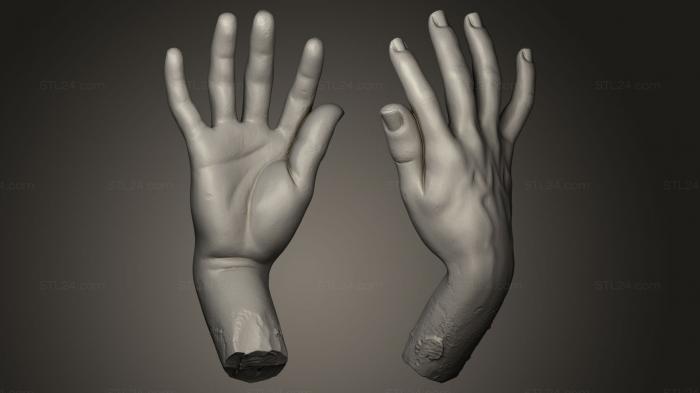 Статуэтки и статуи разные (Рука, STKR_0287) 3D модель для ЧПУ станка