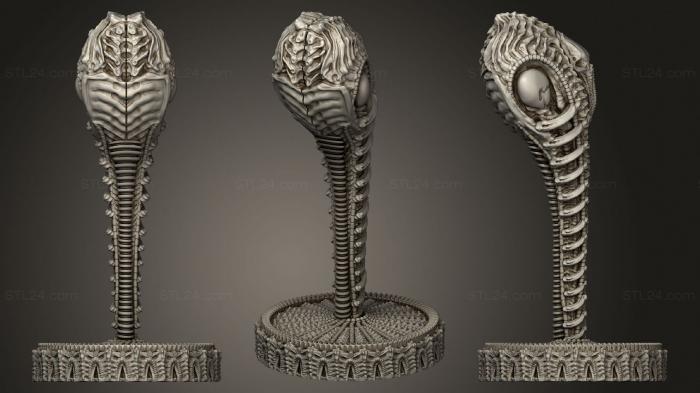 Miscellaneous figurines and statues (Ancient One, STKR_1091) 3D models for cnc