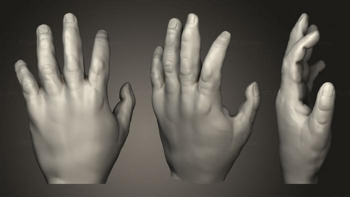 Miscellaneous figurines and statues (Mano Completa, STKR_1438) 3D models for cnc