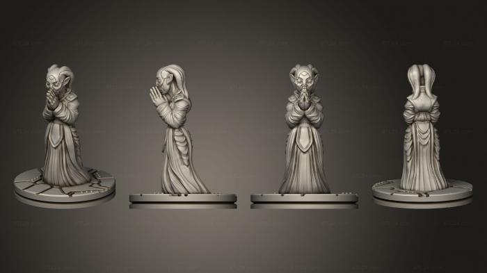 Miscellaneous figurines and statues (Evan Carothers Alien Female Zealot Based, STKR_2132) 3D models for cnc