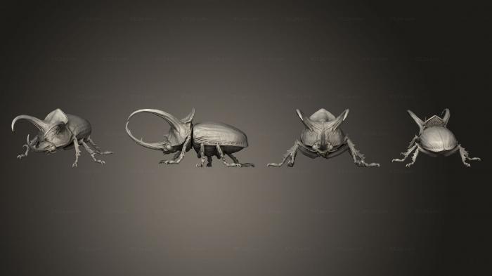 Giant Beetle Body
