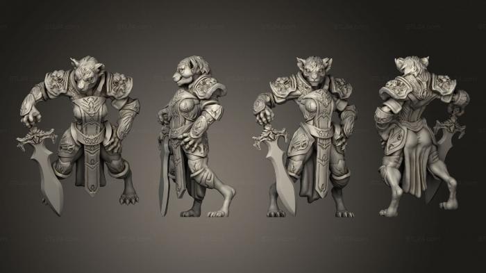 Military figurines (Tabaxi 09 Paladin Female, STKW_13452) 3D models for cnc