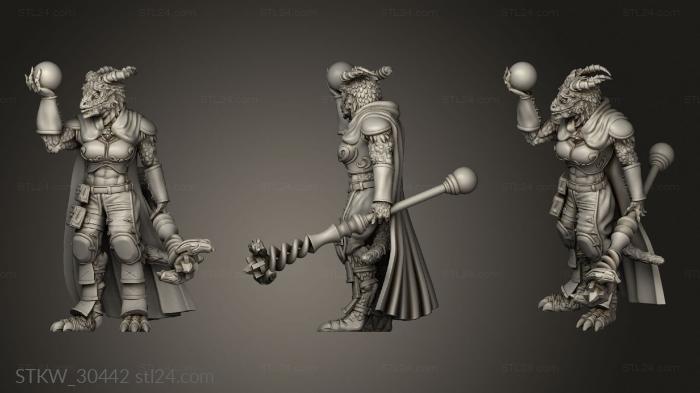 Military figurines (Dragonborn Sorceress, STKW_30442) 3D models for cnc