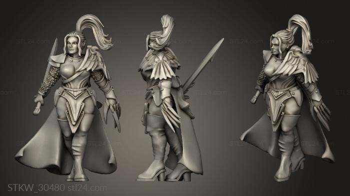 Military figurines (Telarienne Velaris Steel Watch Elf Paladin female Claw Fighter, STKW_30480) 3D models for cnc